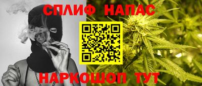 гидра Кандалакша