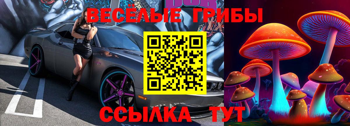 Псилоцибиновые грибы GOLDEN TEACHER Красный Сулин