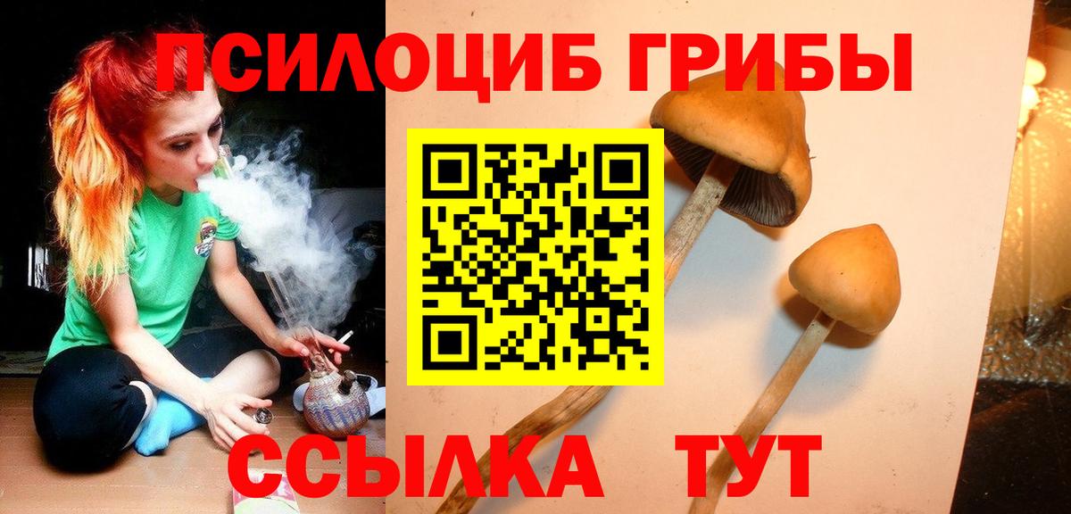 Красный Сулин  хочу наркоту  Вход с VPN  Псилоцибиновые грибы Magic Shrooms 